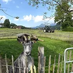 Wimmhof Apartmán Sankt Martin am Tennengebirge