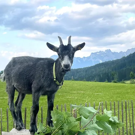 Wimmhof * Sankt Martin am Tennengebirge