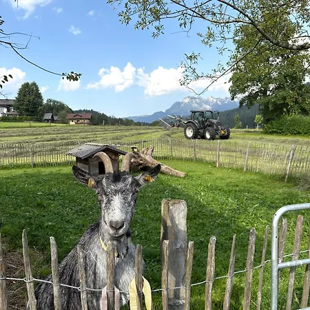 Wimmhof アパート ザンクト・マルティン・アム・テンネンゲビルゲ